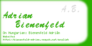 adrian bienenfeld business card